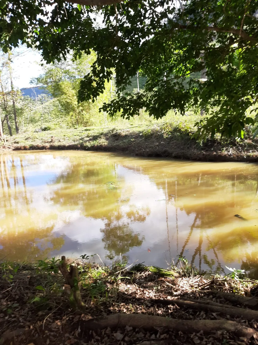 Chácara à venda de 1 ha em Itamarati de Minas, MG, Brasil