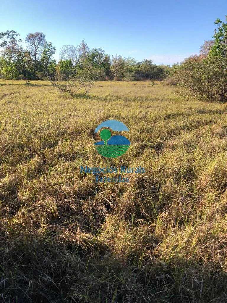 Fazenda à venda de 726 ha em Porangatu, GO, Brasil