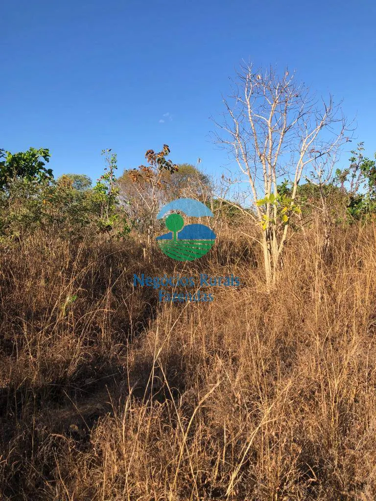 Fazenda à venda de 726 ha em Porangatu, GO, Brasil