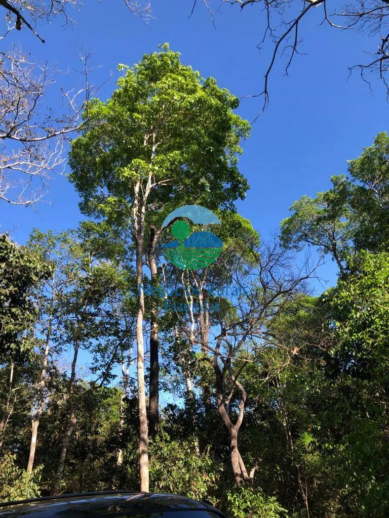 Fazenda à venda de 726 ha em Porangatu, GO, Brasil