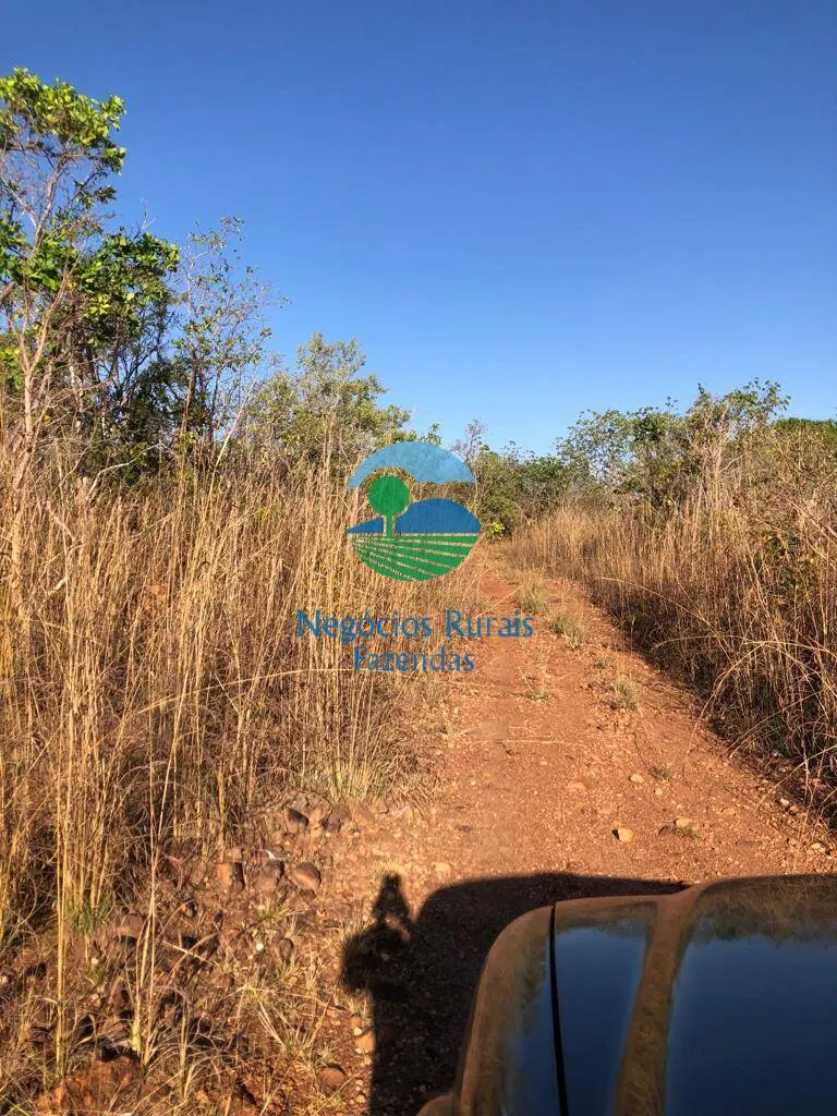 Fazenda à venda de 726 ha em Porangatu, GO, Brasil