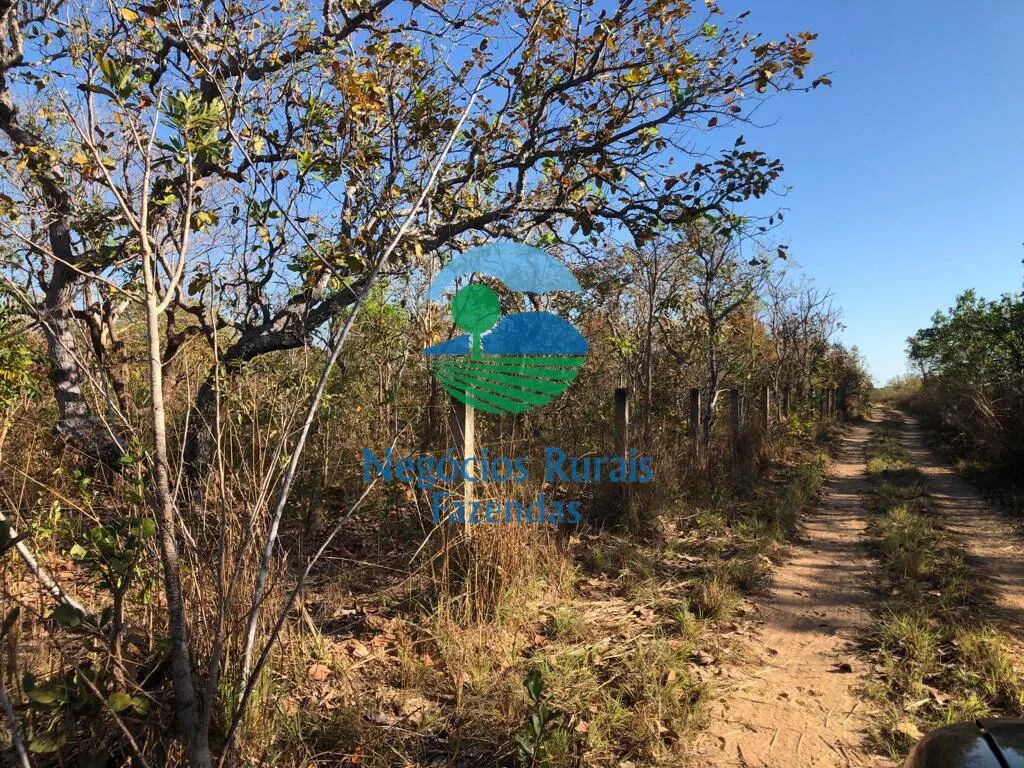 Fazenda à venda de 726 ha em Porangatu, GO, Brasil