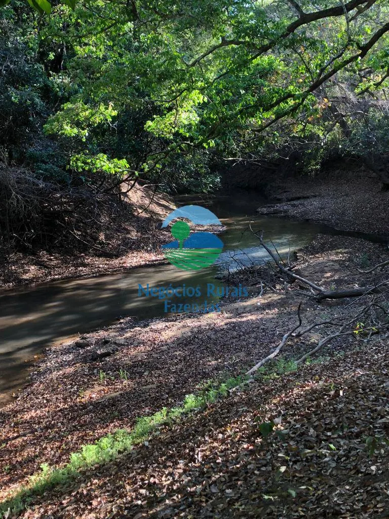 Fazenda à venda de 726 ha em Porangatu, GO, Brasil