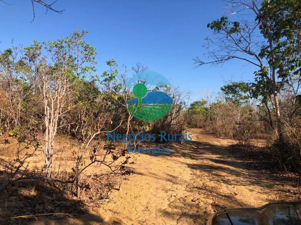 Fazenda à venda de 726 ha em Porangatu, GO, Brasil