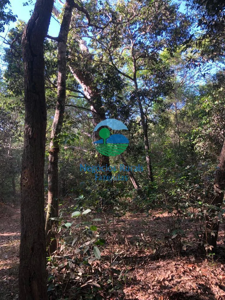 Fazenda à venda de 726 ha em Porangatu, GO, Brasil