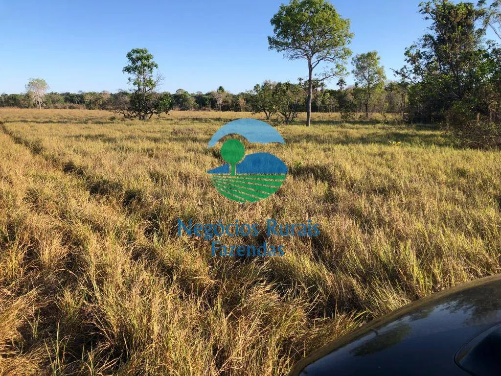 Fazenda à venda de 726 ha em Porangatu, GO, Brasil