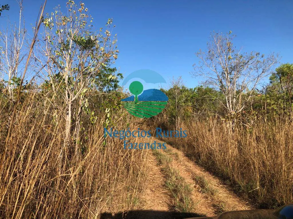 Fazenda à venda de 726 ha em Porangatu, GO, Brasil
