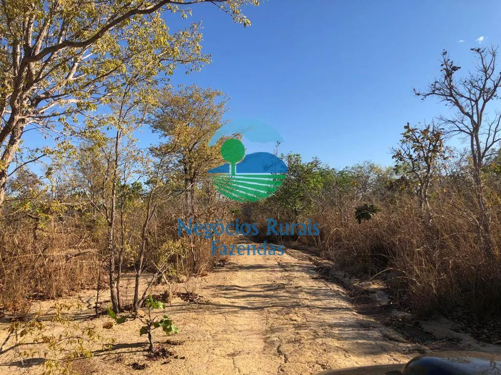 Fazenda à venda de 726 ha em Porangatu, GO, Brasil