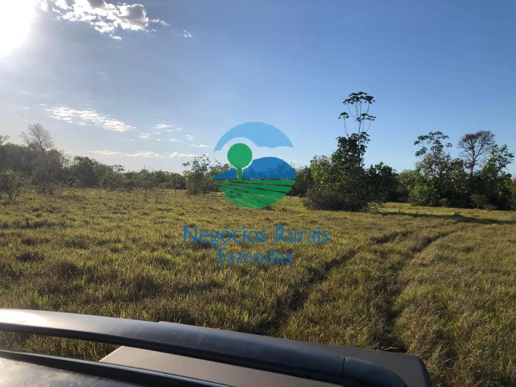 Fazenda à venda de 726 ha em Porangatu, GO, Brasil
