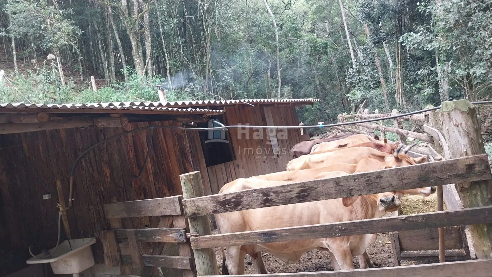 Chácara à venda de 12 ha em Alfredo Wagner, SC, Brasil