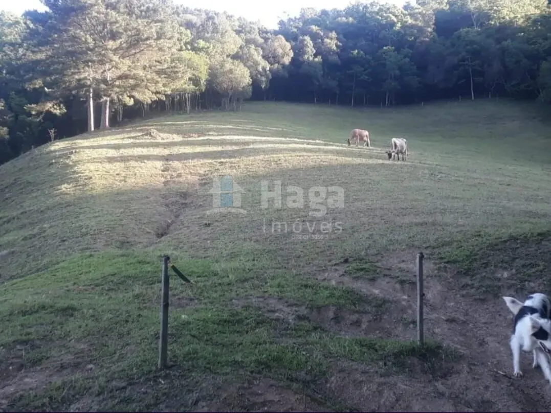 Chácara à venda de 12 ha em Alfredo Wagner, SC, Brasil