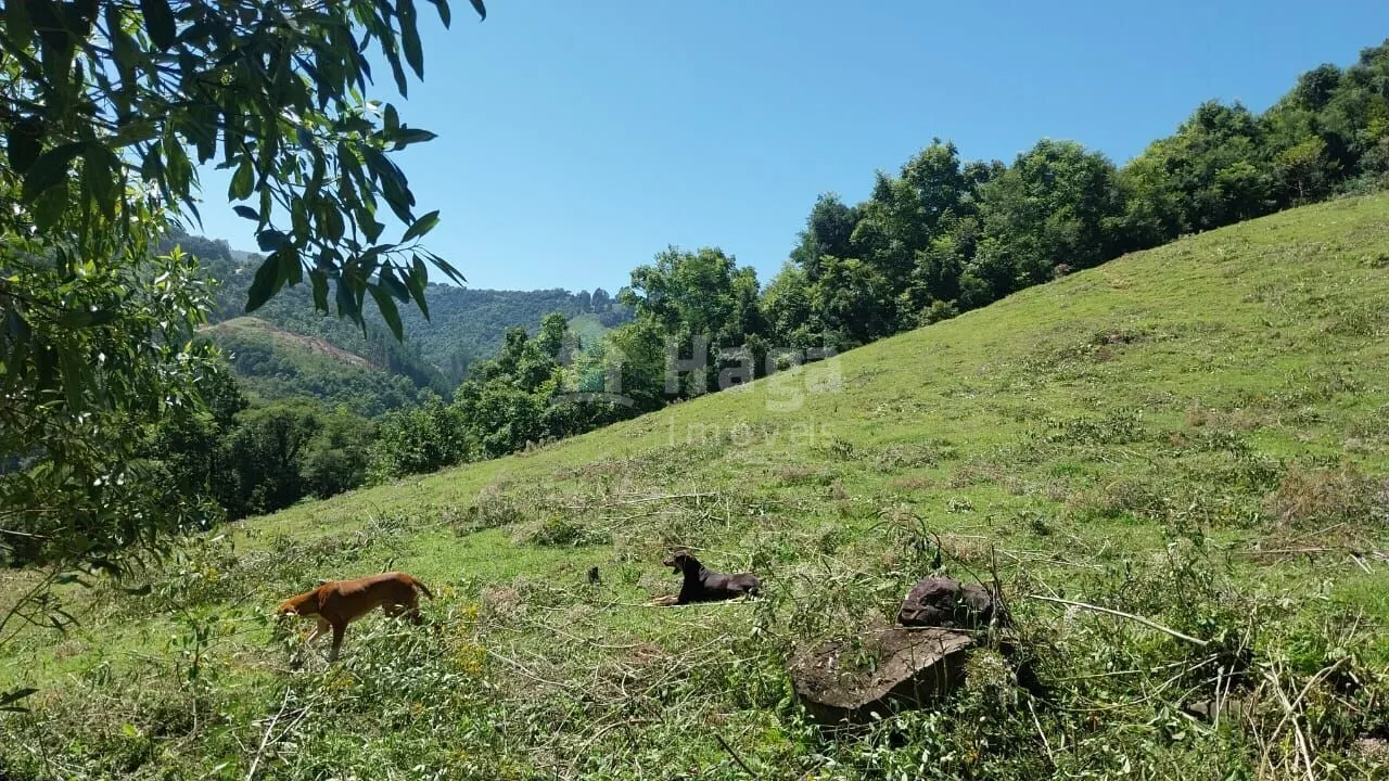 Chácara à venda de 12 ha em Alfredo Wagner, SC, Brasil