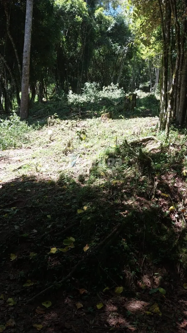 Chácara à venda de 12 ha em Alfredo Wagner, SC, Brasil