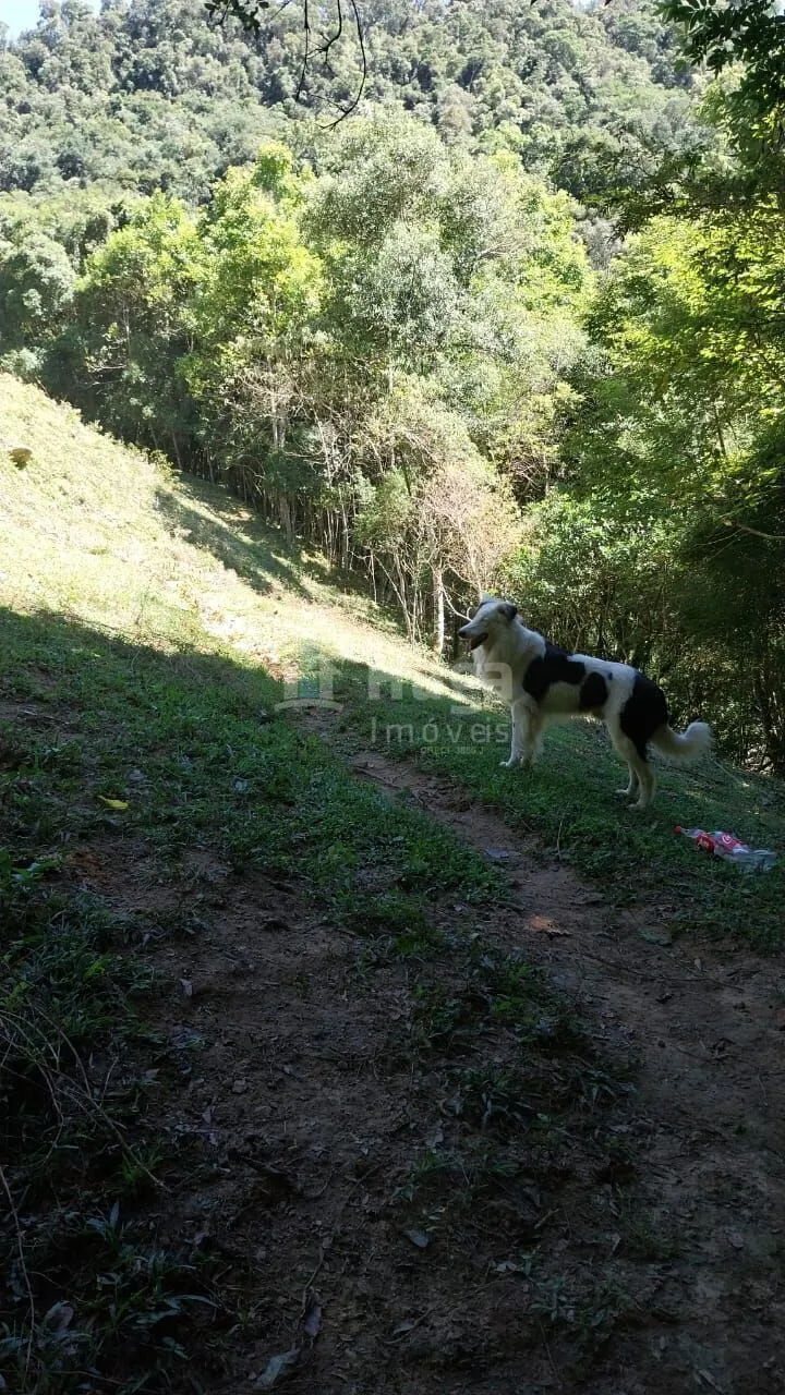 Chácara à venda de 12 ha em Alfredo Wagner, SC, Brasil