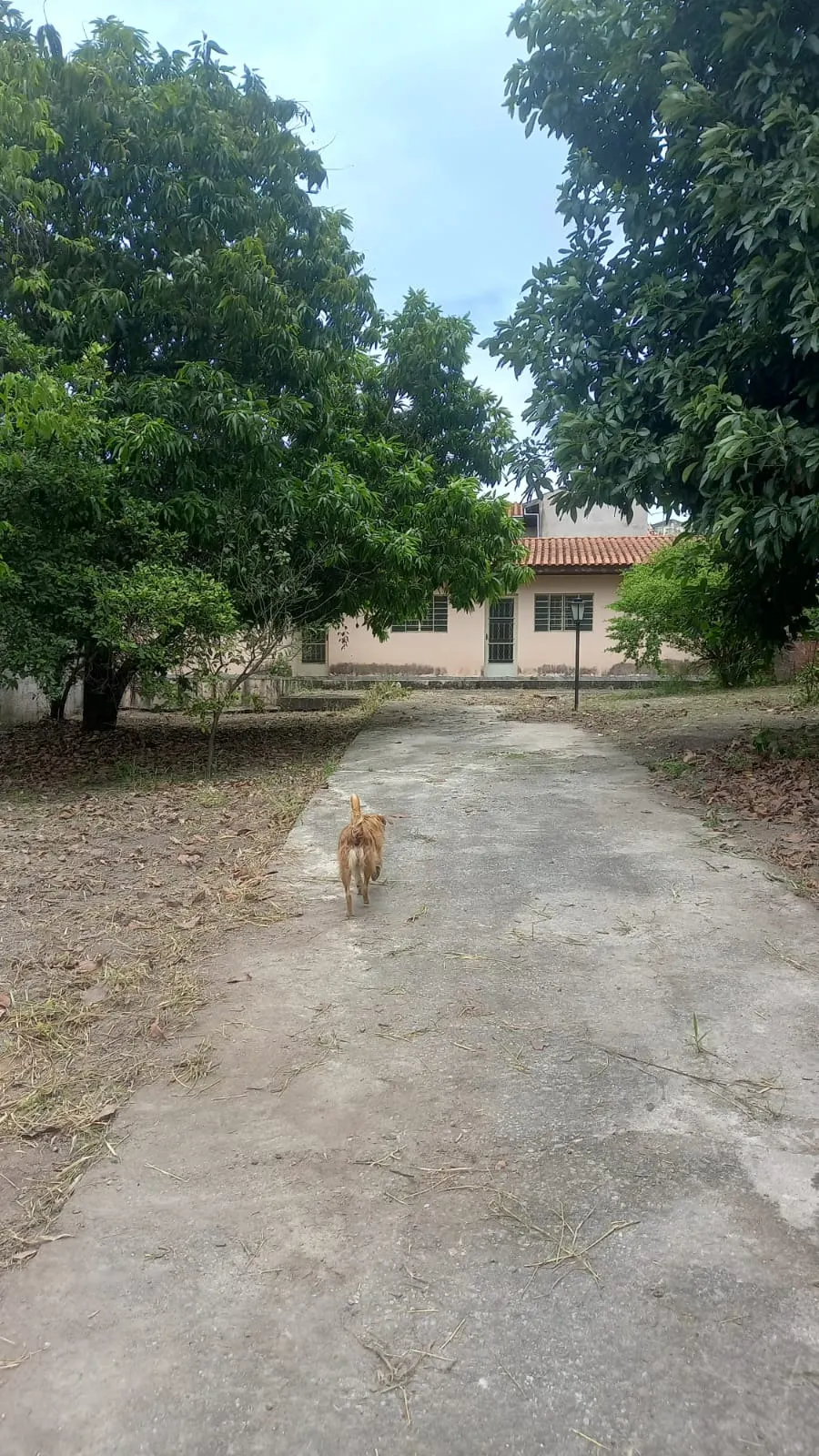 Terreno à venda de 515 m² em Taubaté, SP, Brasil