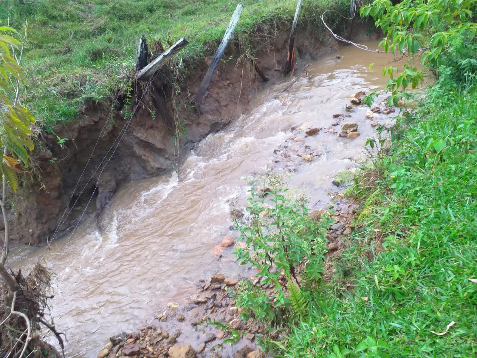 Small farm for sale of 60 acres in Carangola, MG, Brazil