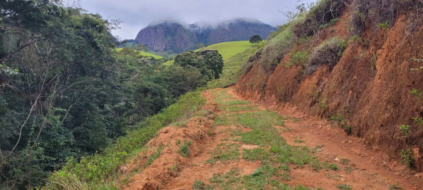 Small farm for sale of 60 acres in Carangola, MG, Brazil