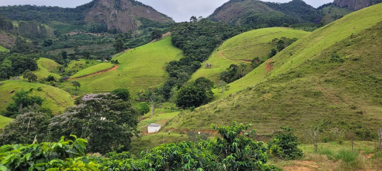 Small farm for sale of 60 acres in Carangola, MG, Brazil