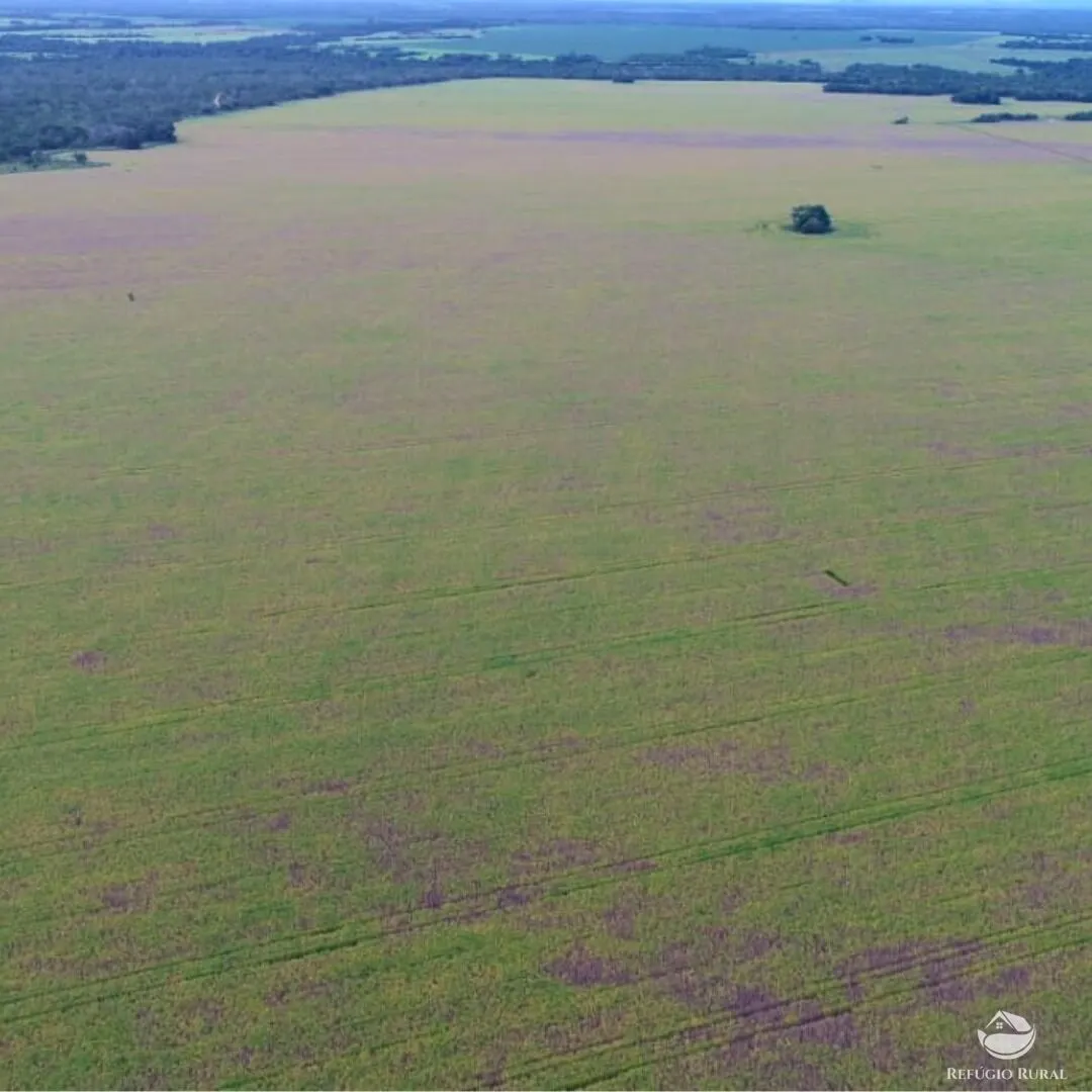Fazenda à venda de 1.998 ha em Santa Rosa do Tocantins, TO, Brasil