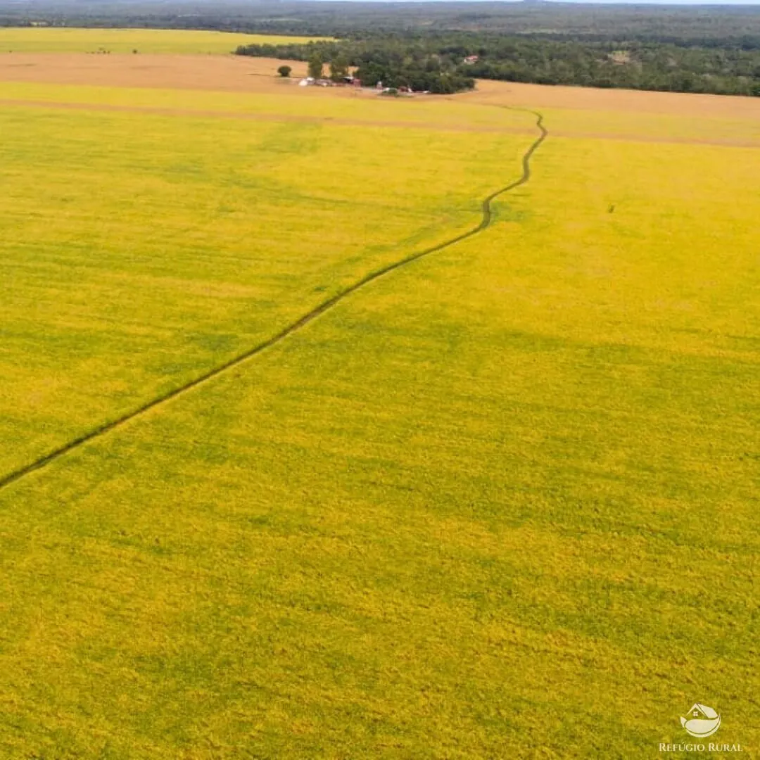 Fazenda à venda de 1.998 ha em Santa Rosa do Tocantins, TO, Brasil