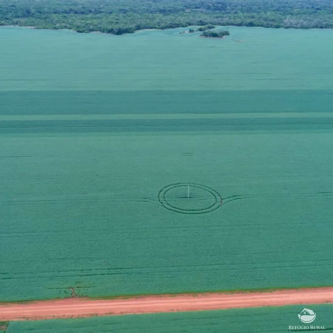 Fazenda à venda de 1.998 ha em Santa Rosa do Tocantins, TO, Brasil