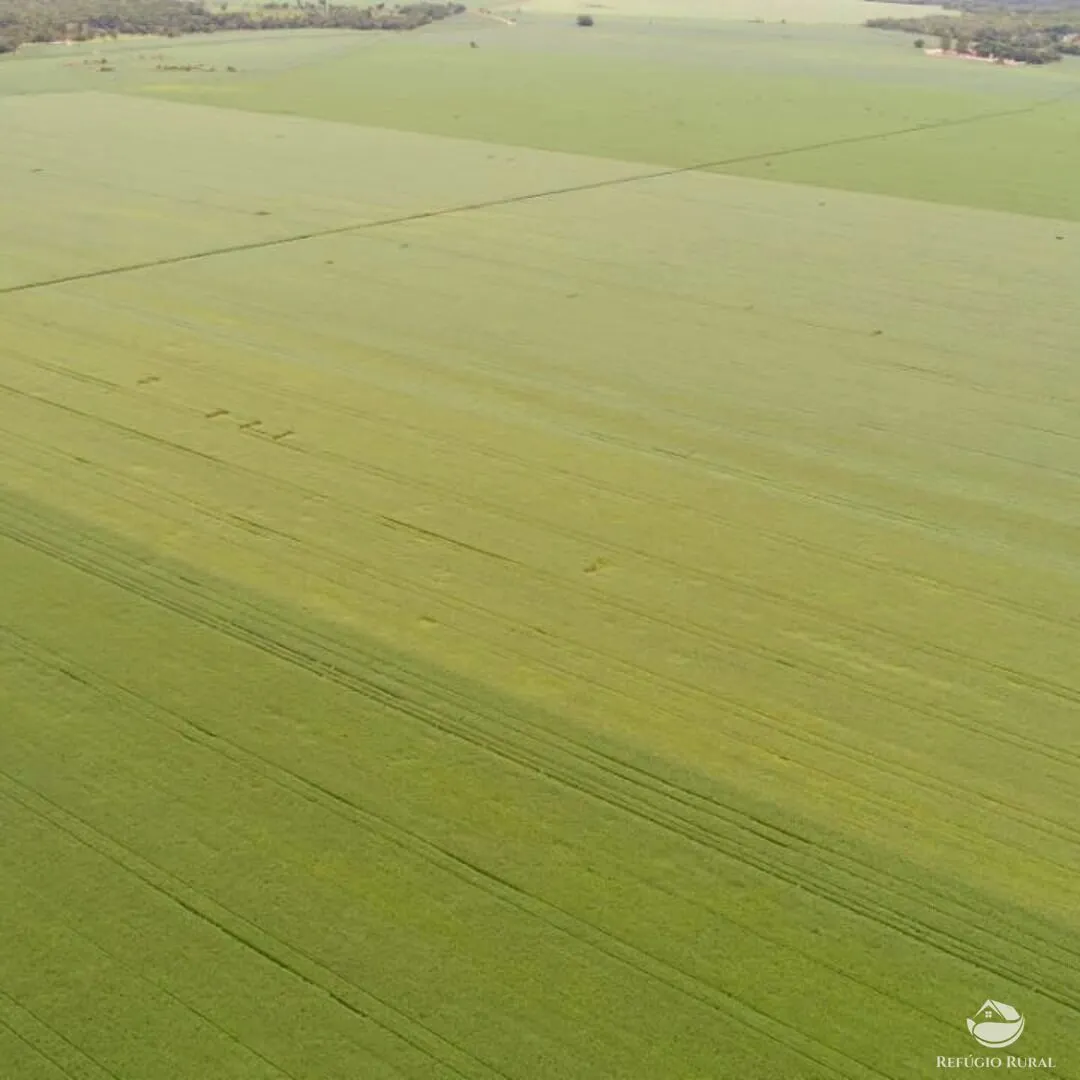 Fazenda à venda de 1.998 ha em Santa Rosa do Tocantins, TO, Brasil