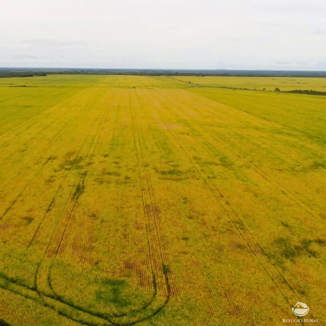 Fazenda à venda de 1.998 ha em Santa Rosa do Tocantins, TO, Brasil