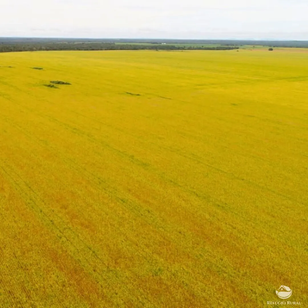 Fazenda à venda de 1.998 ha em Santa Rosa do Tocantins, TO, Brasil