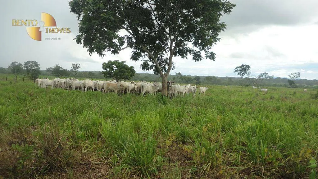 Fazenda à venda de 836 ha em Rosário Oeste, MT, Brasil