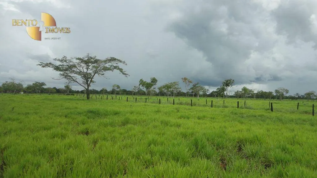Fazenda à venda de 836 ha em Rosário Oeste, MT, Brasil