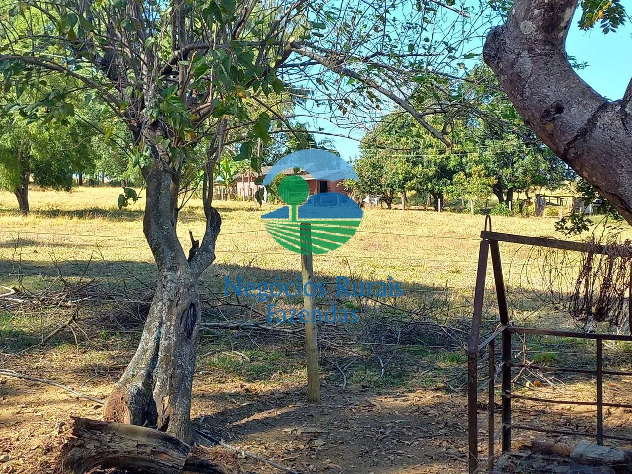 Fazenda à venda de 208 ha em Anápolis, GO, Brasil