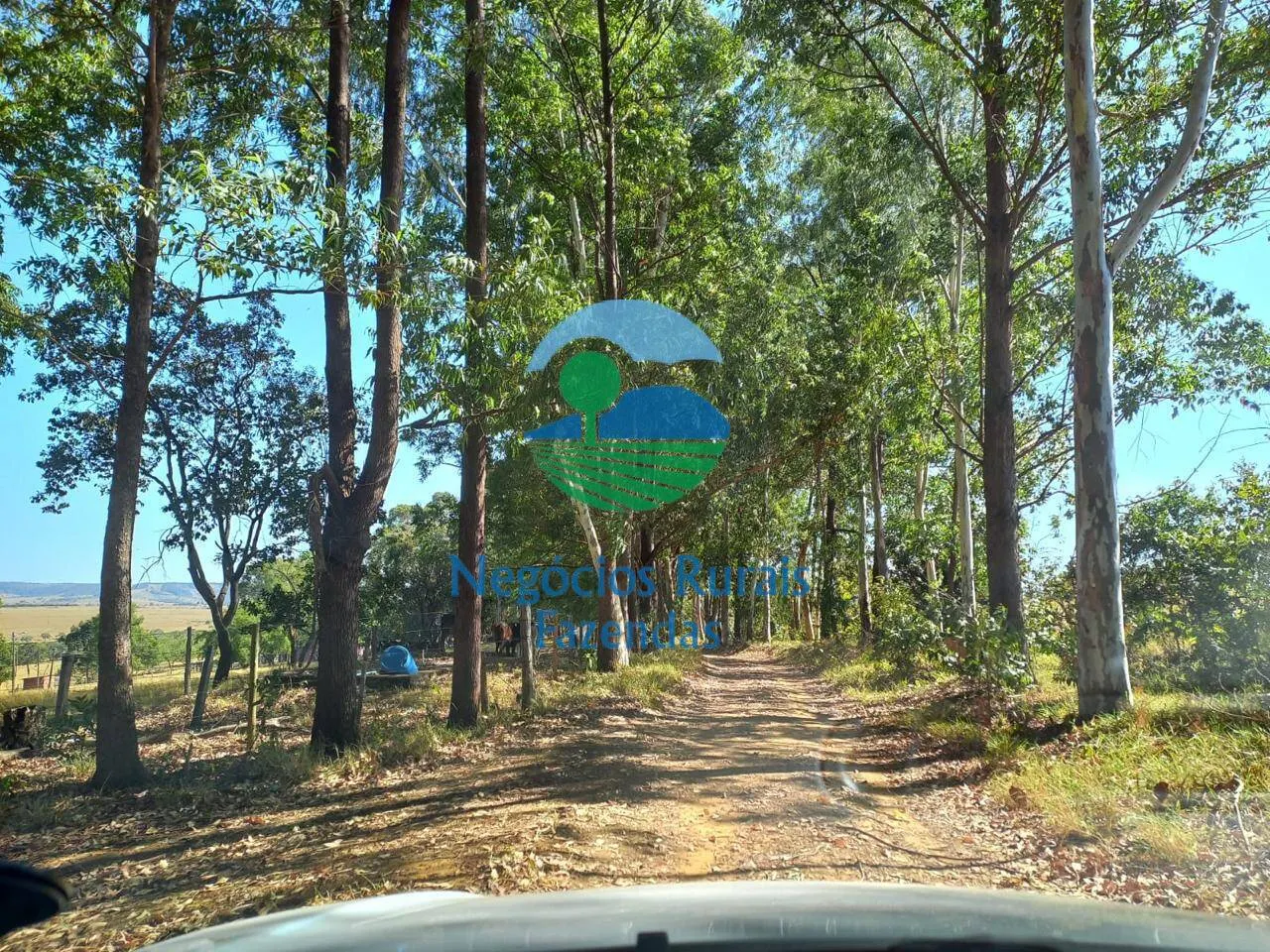 Fazenda à venda de 208 ha em Anápolis, GO, Brasil