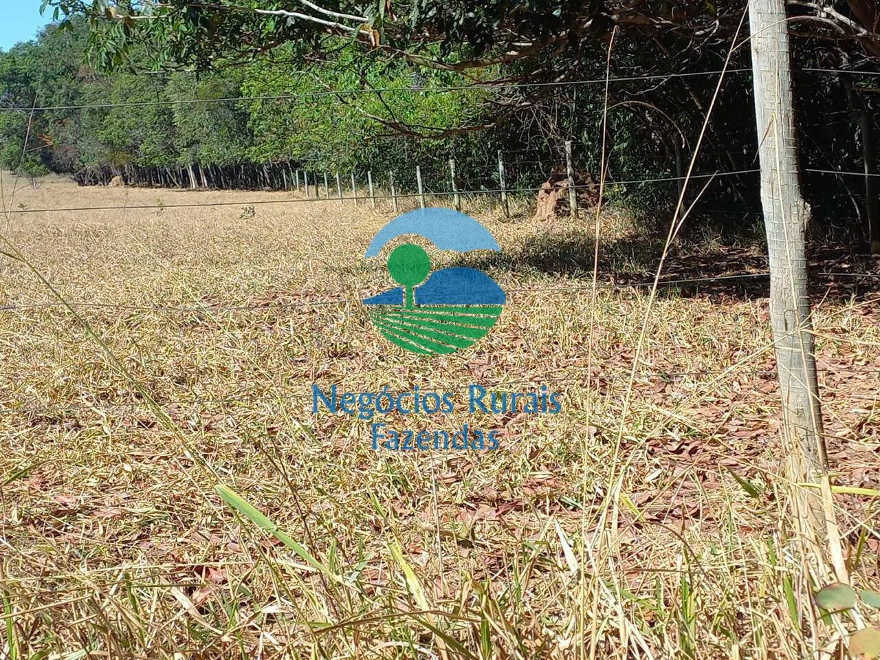 Fazenda à venda de 208 ha em Anápolis, GO, Brasil
