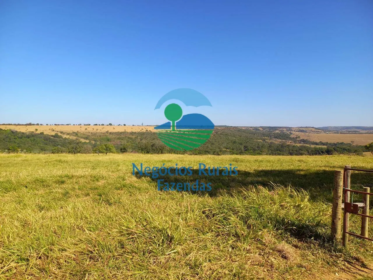 Fazenda à venda de 208 ha em Anápolis, GO, Brasil
