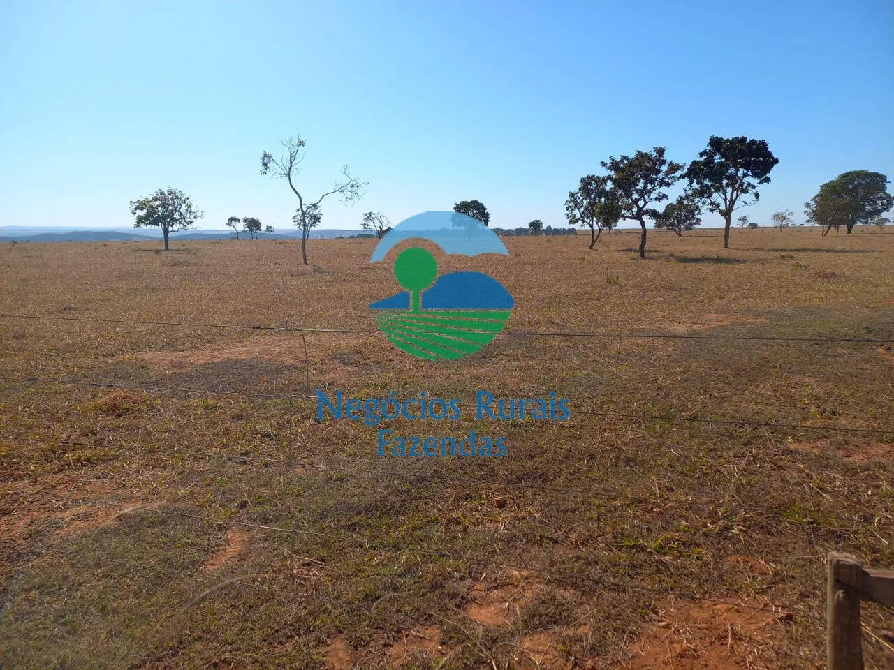 Fazenda à venda de 208 ha em Anápolis, GO, Brasil