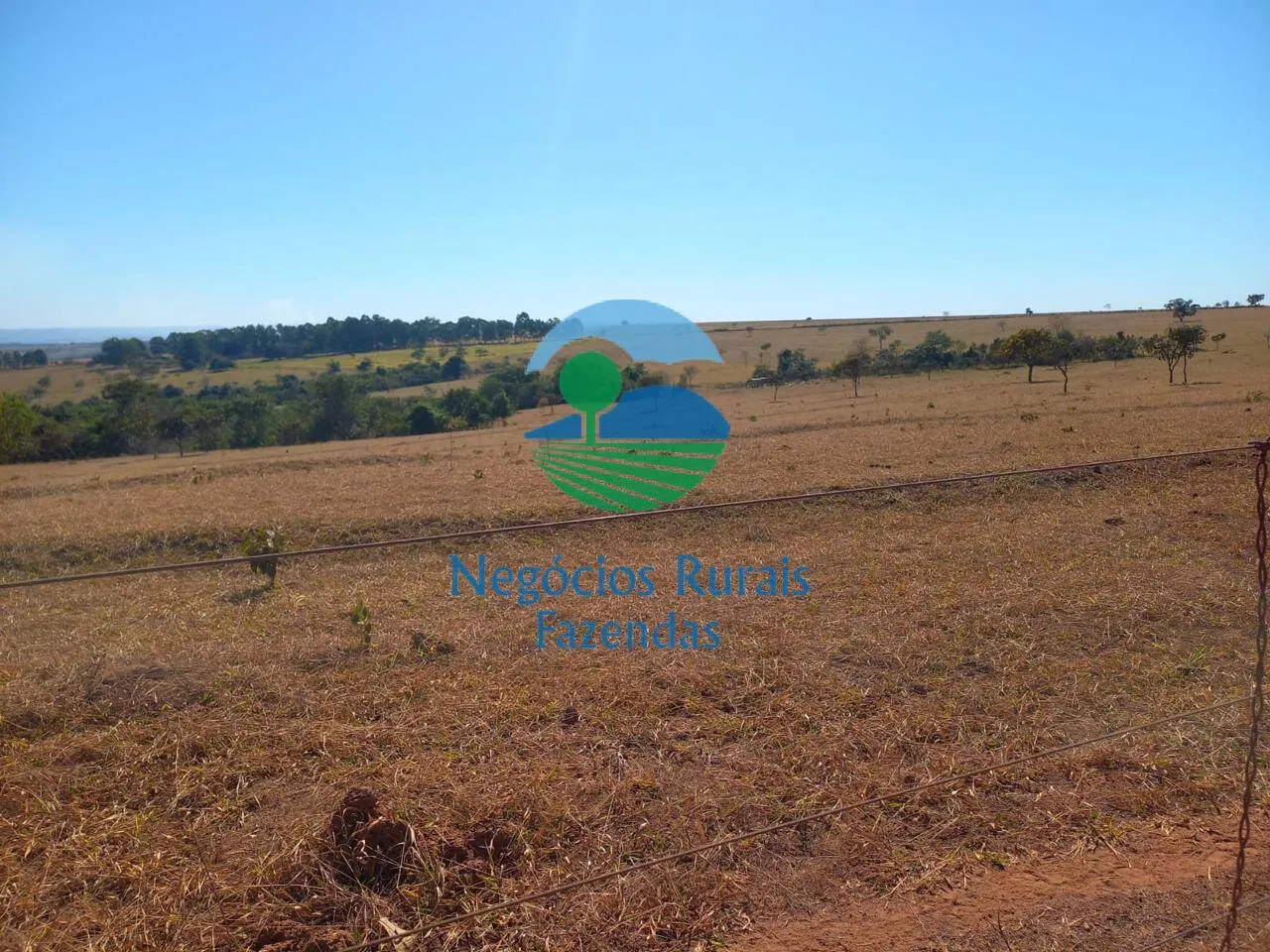 Fazenda à venda de 208 ha em Anápolis, GO, Brasil