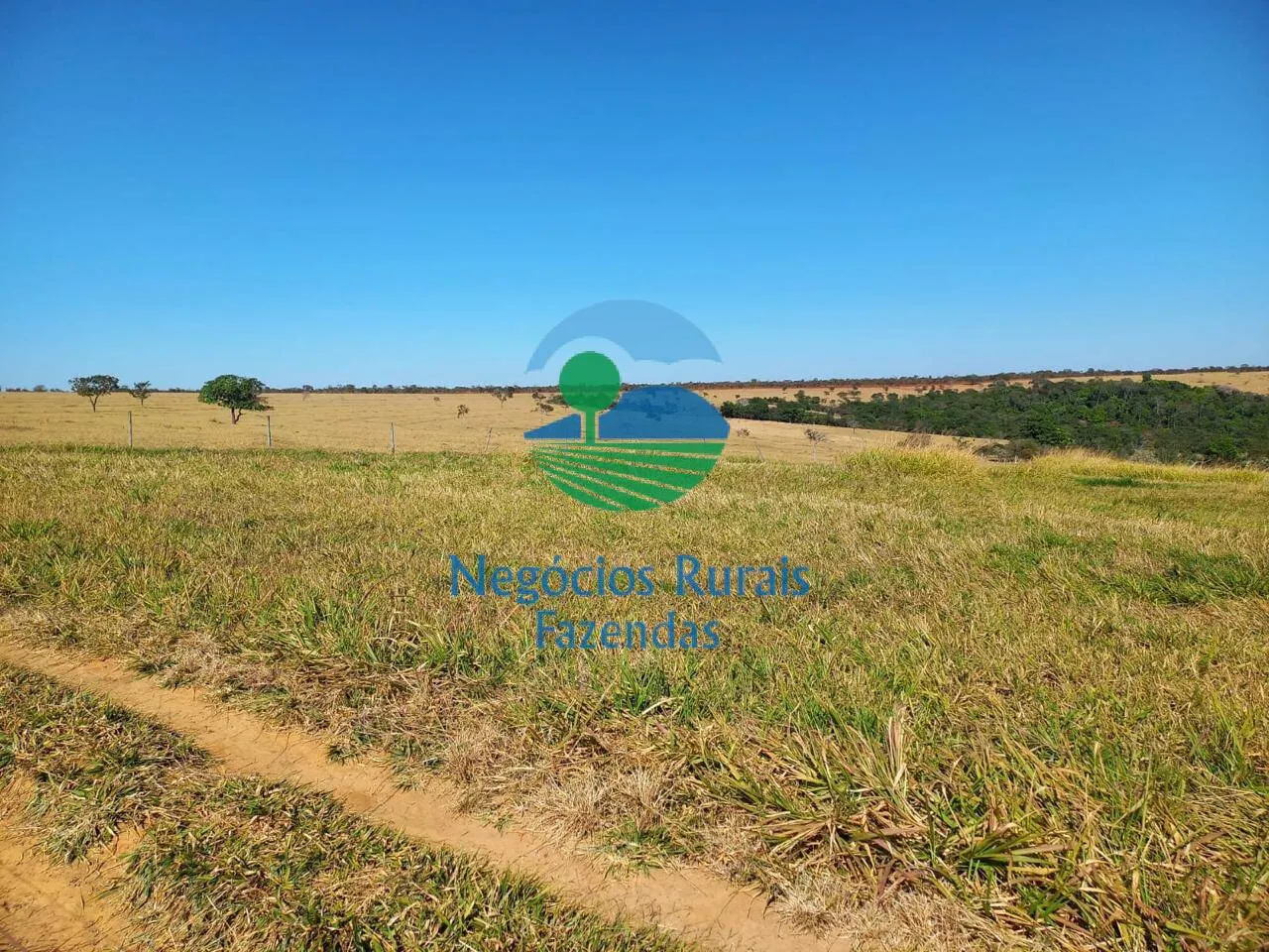 Fazenda à venda de 208 ha em Anápolis, GO, Brasil