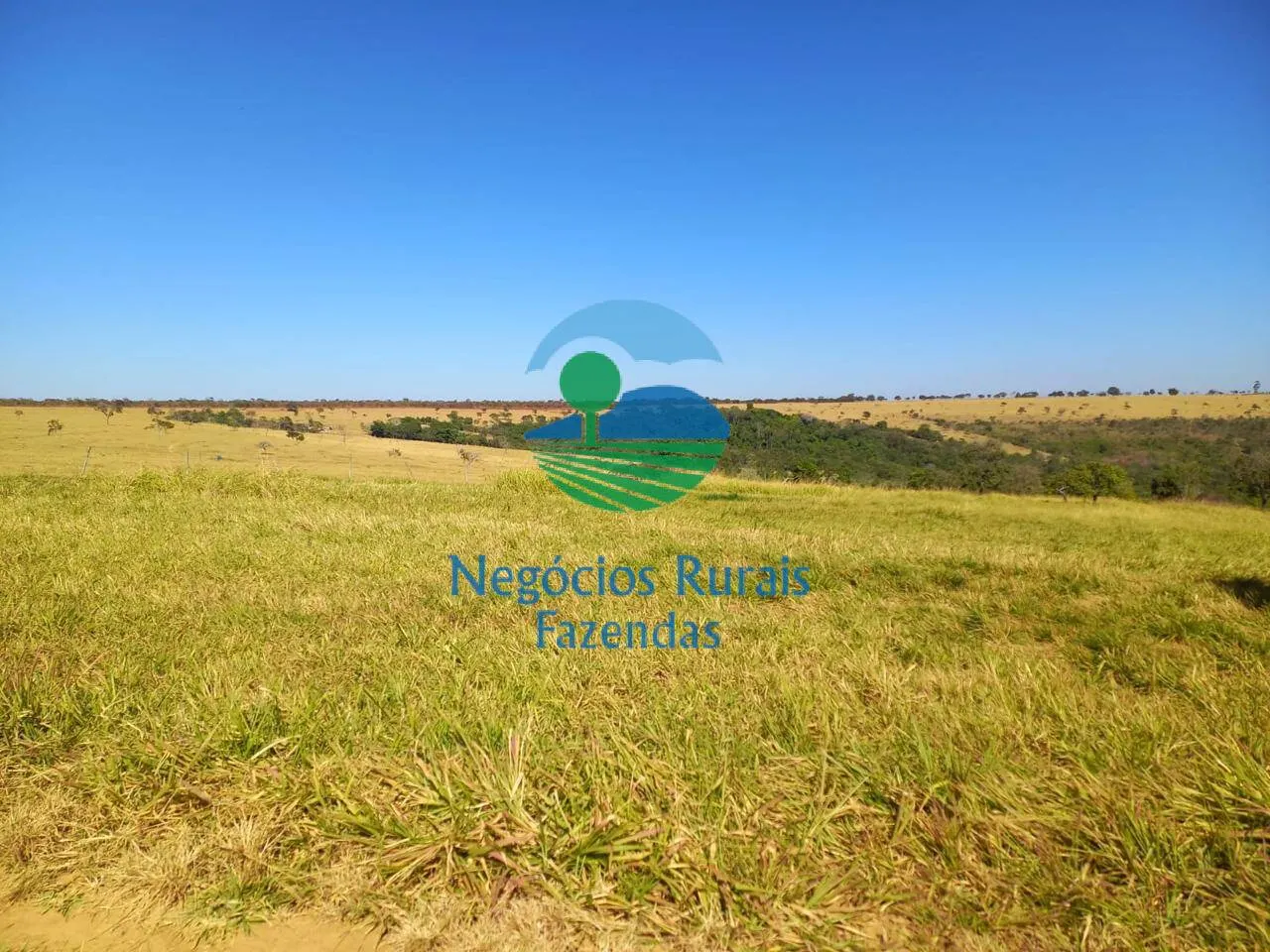 Fazenda à venda de 208 ha em Anápolis, GO, Brasil