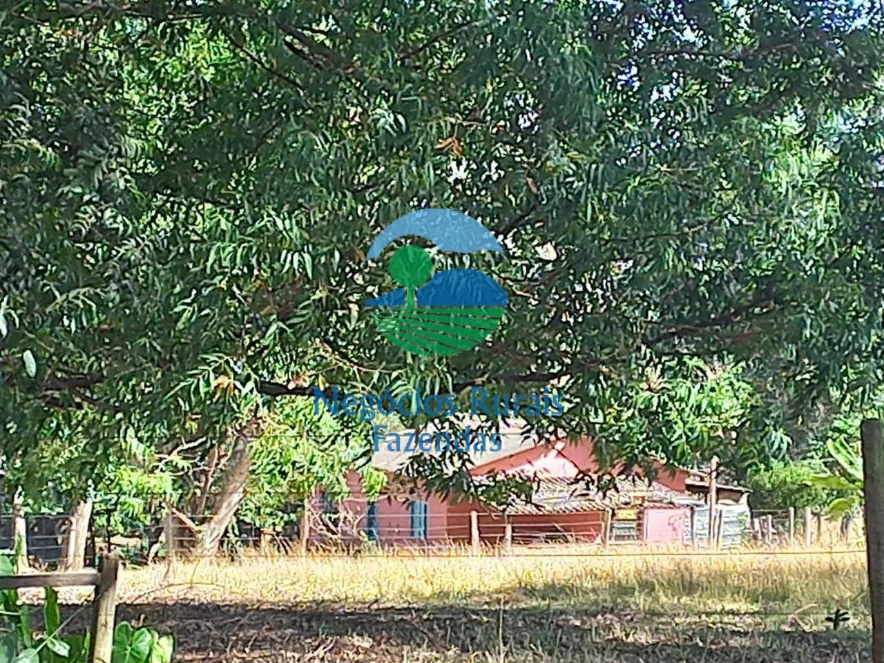 Fazenda à venda de 208 ha em Anápolis, GO, Brasil