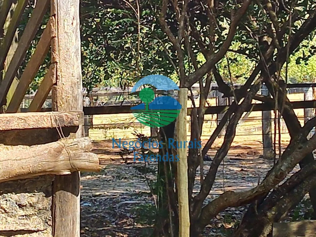 Fazenda à venda de 208 ha em Anápolis, GO, Brasil