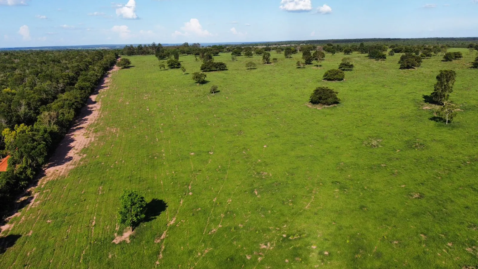 Farm for sale of 1,171 acres in Três Lagoas, MS, Brazil