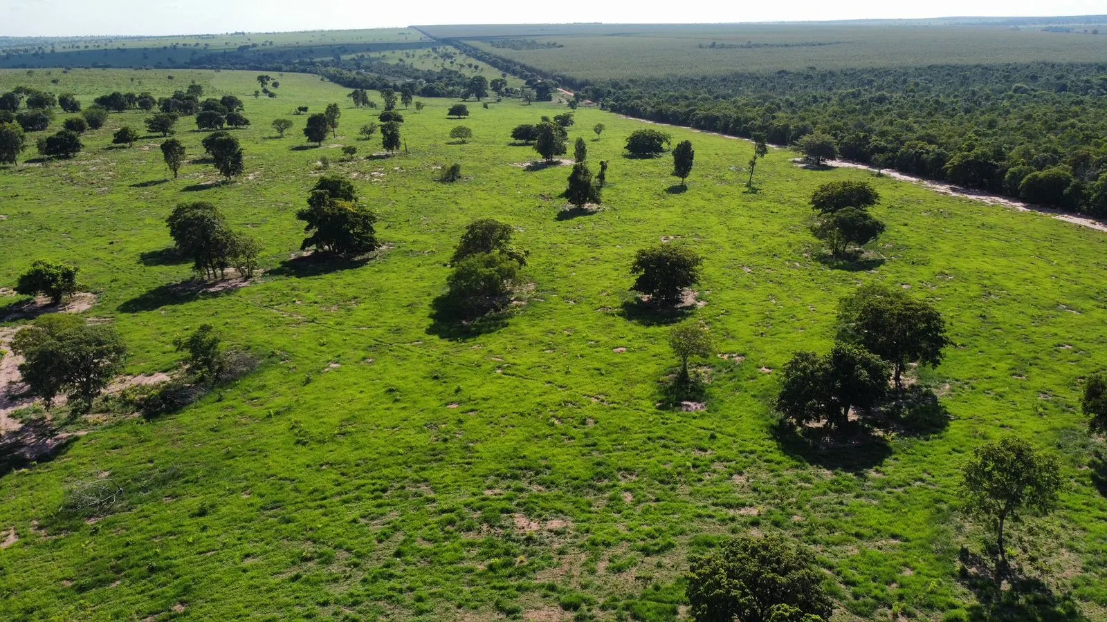 Farm for sale of 1,171 acres in Três Lagoas, MS, Brazil