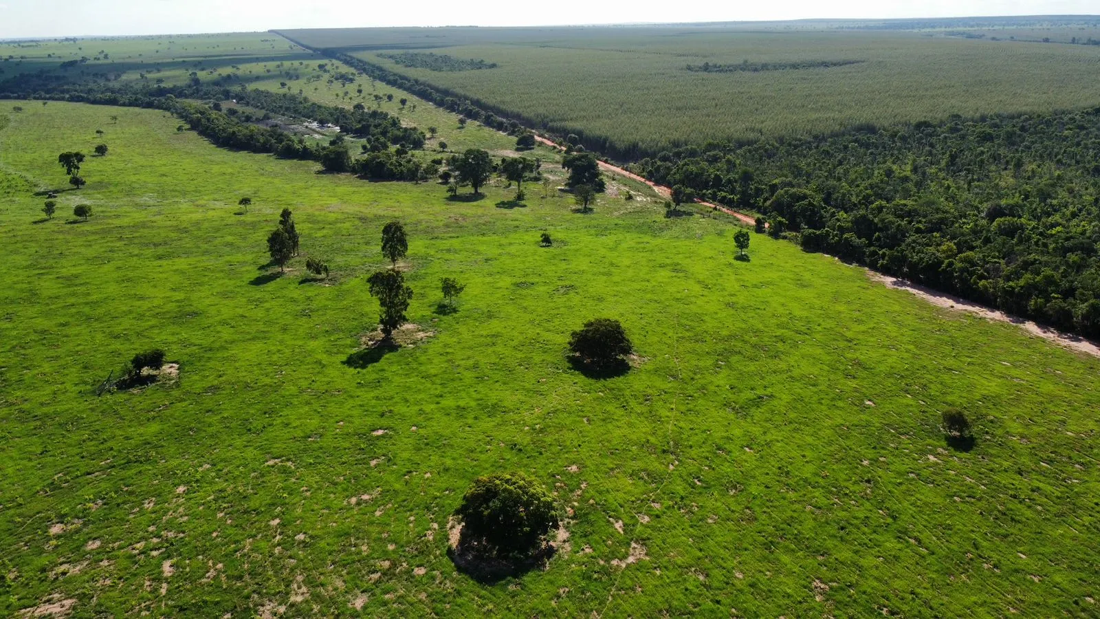 Farm for sale of 1,171 acres in Três Lagoas, MS, Brazil