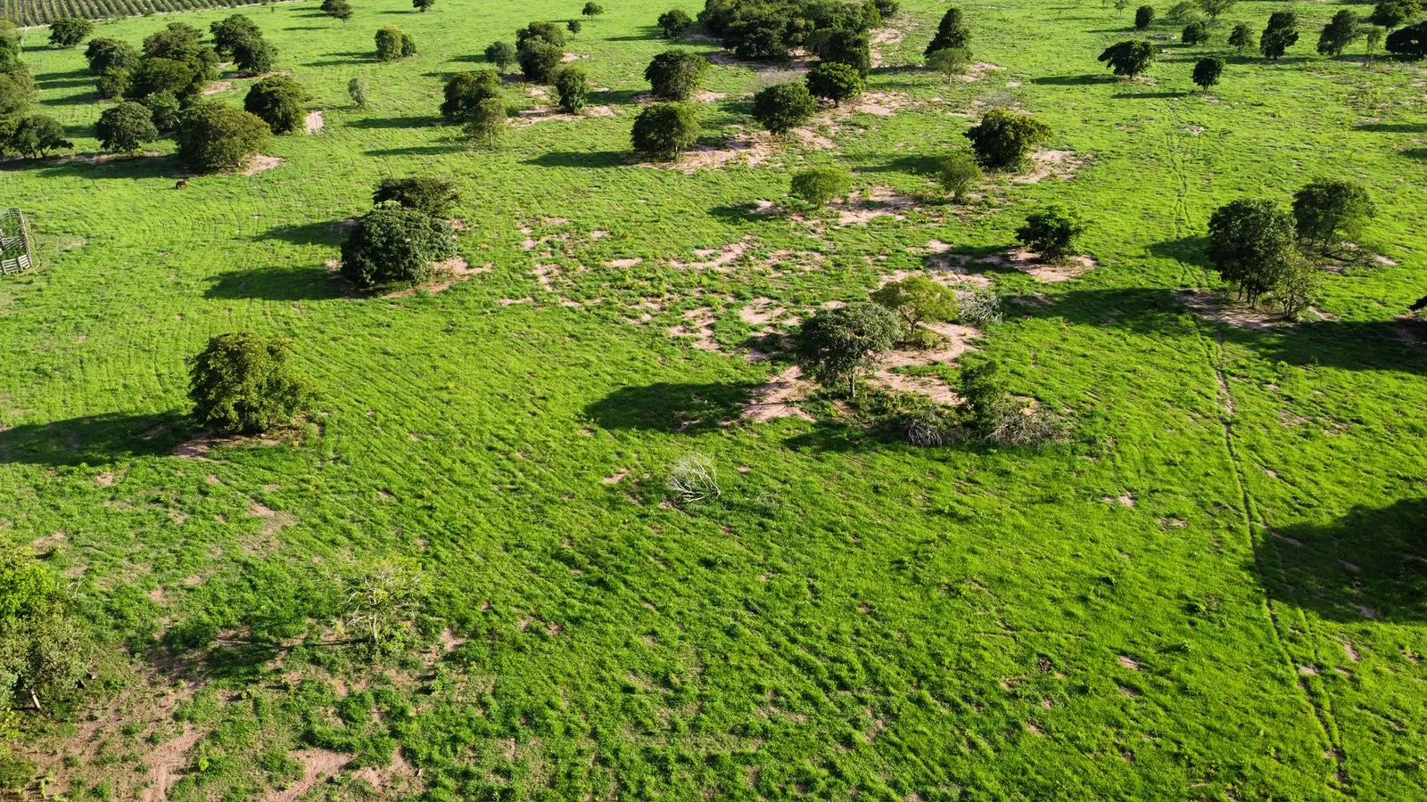 Farm for sale of 1,171 acres in Três Lagoas, MS, Brazil