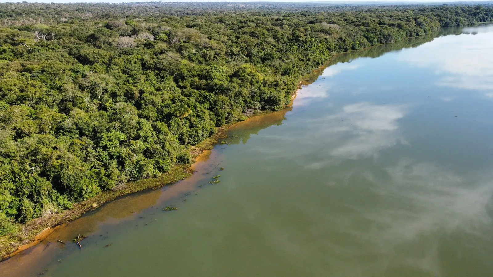 Fazenda à venda de 474 ha em Três Lagoas, MS, Brasil
