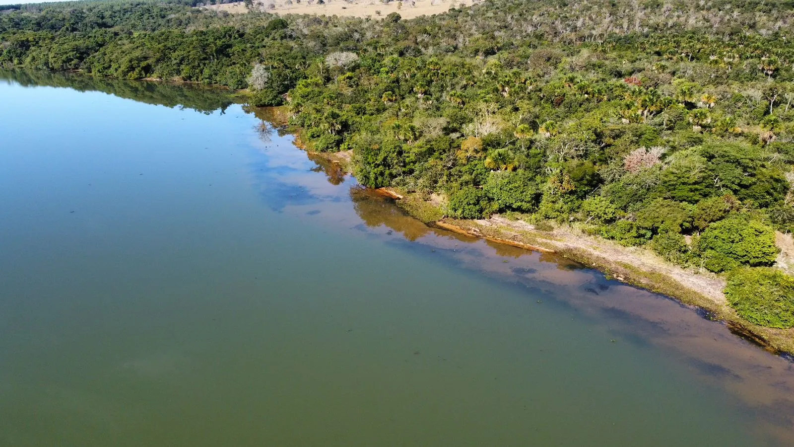 Farm for sale of 1,171 acres in Três Lagoas, MS, Brazil