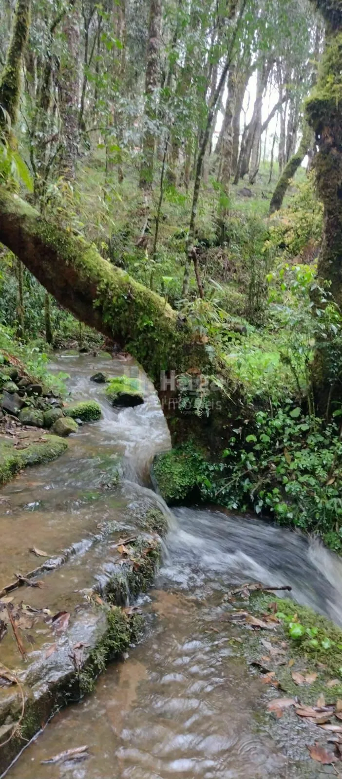 Fazenda à venda de 2 ha em Urubici, SC, Brasil