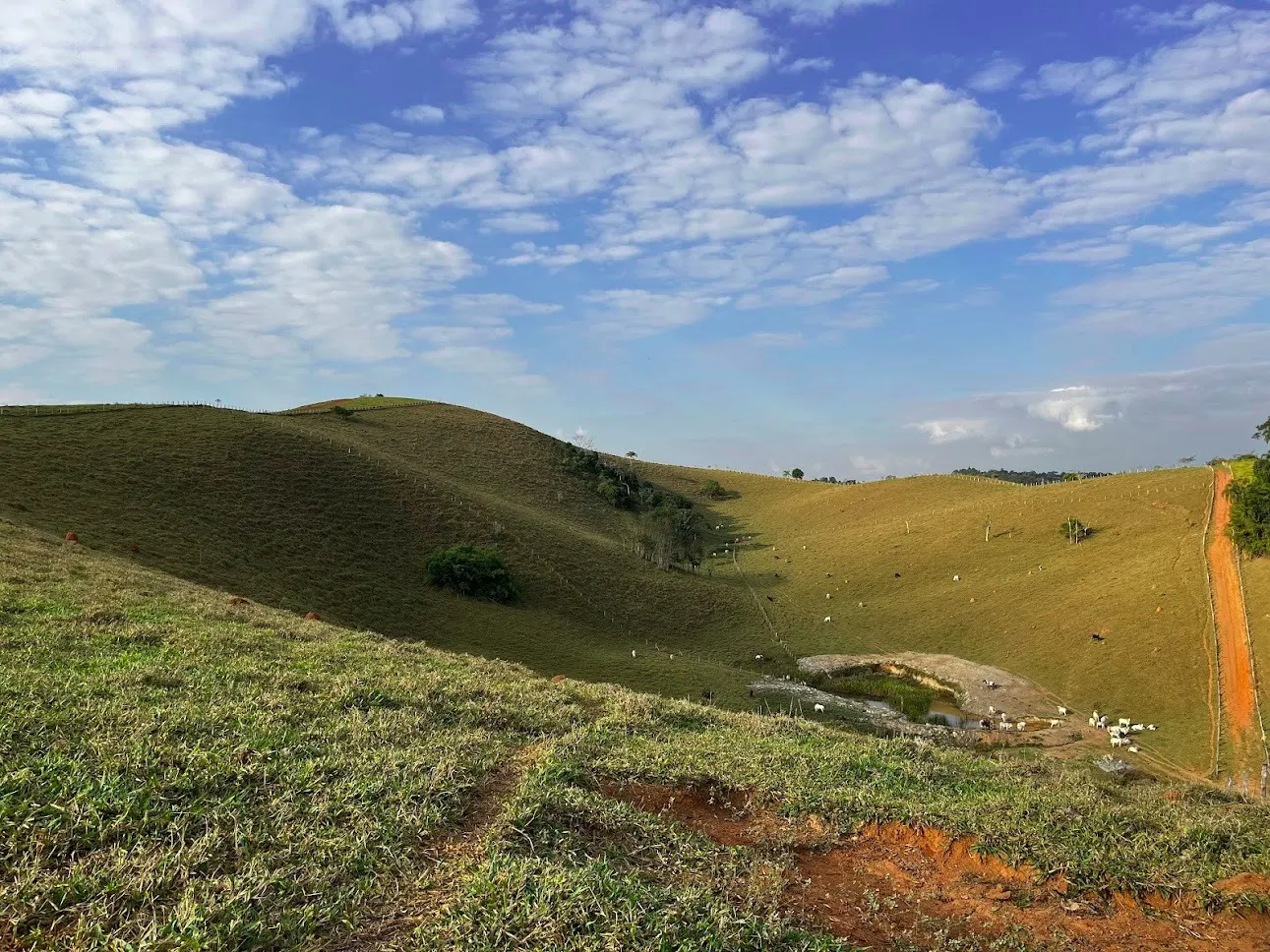 Terreno à venda de 2 ha em Jambeiro, SP, Brasil