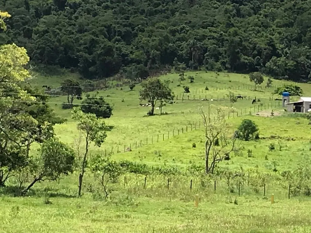Terreno à venda de 8.747 m² em Paraibuna, SP, Brasil