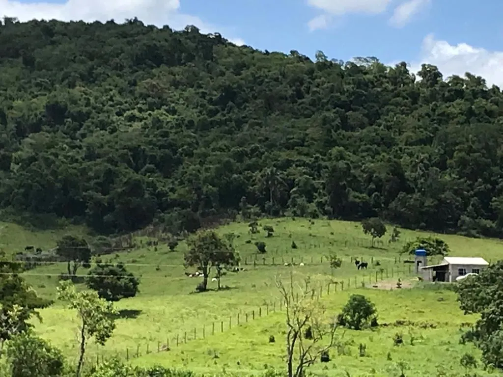 Terreno à venda de 8.747 m² em Paraibuna, SP, Brasil